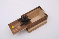 The Jumping Spider Prank Box | Hidden in Wooden Case for Tricks Jokes Gags Pranks - WickyDeez