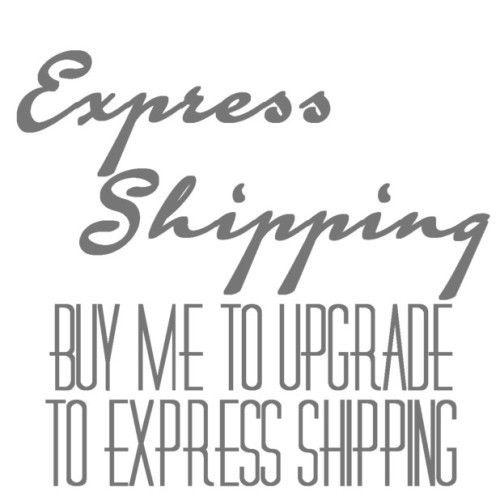 Use this option to Upgrade your Standard Shipping to Express shipping Only-Expedited Shipping-WickyDeez
